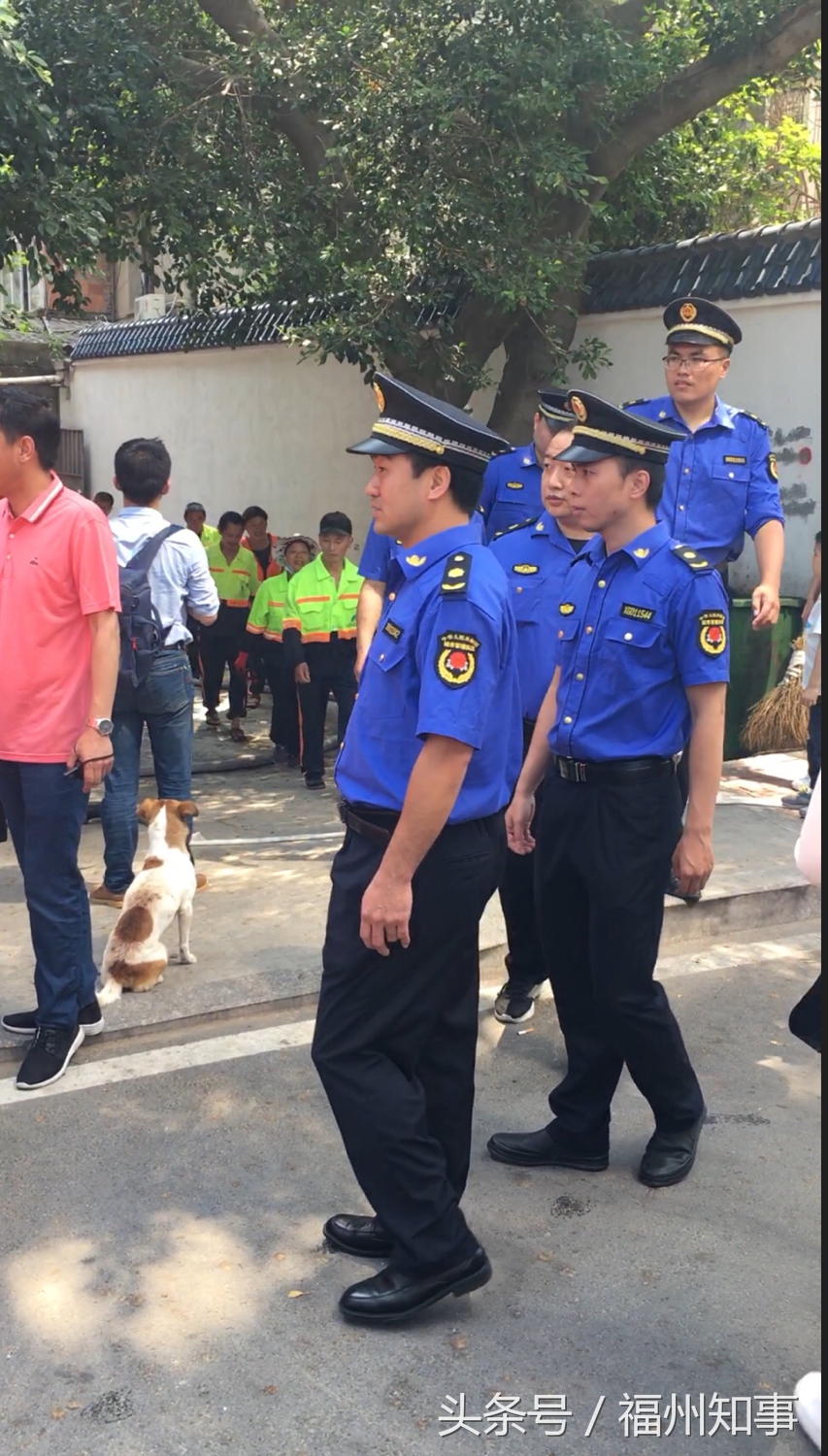 上海市最新防汛通知,上海防汛工作报道