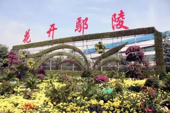 旅游打卡河南最值得去的十个景区,河南必去四大旅游景点