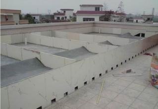 家里养龟能赚钱吗,在家里养龟的最佳位置