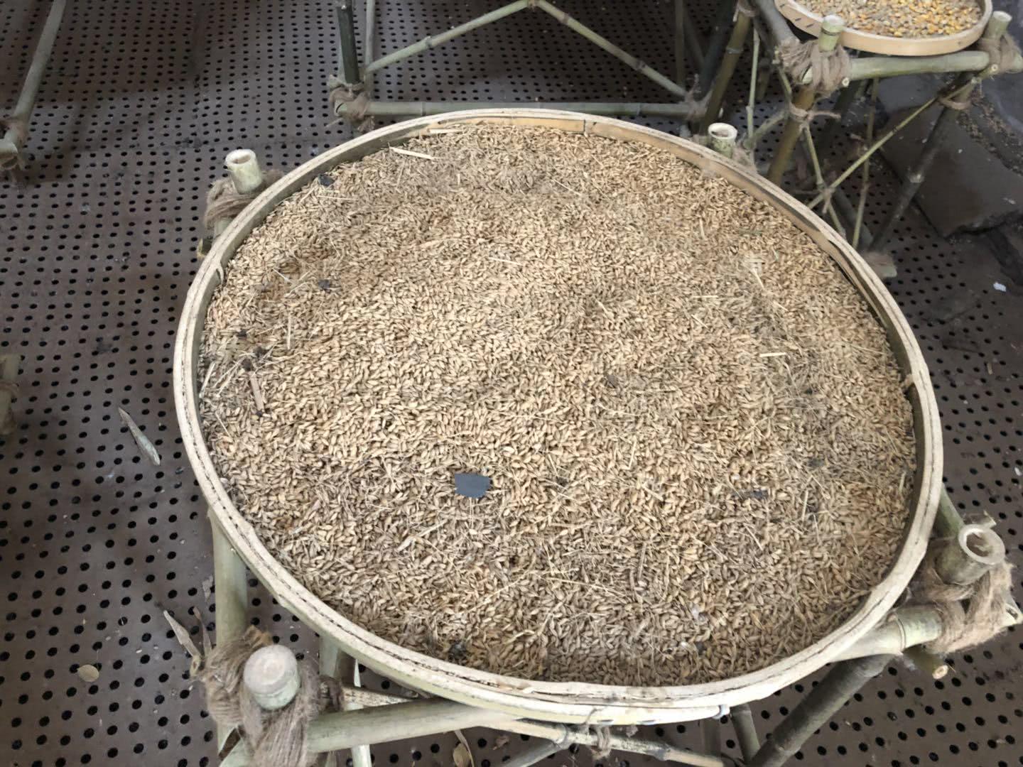 河南濮阳岳古酒价格表,濮阳岳古酒