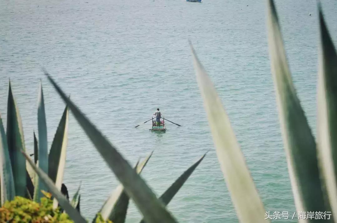 厦门最好的火山岛,厦门最好火山岛