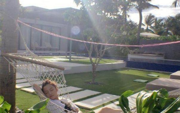 吴昕隐形的富豪,吴昕开了几家餐厅