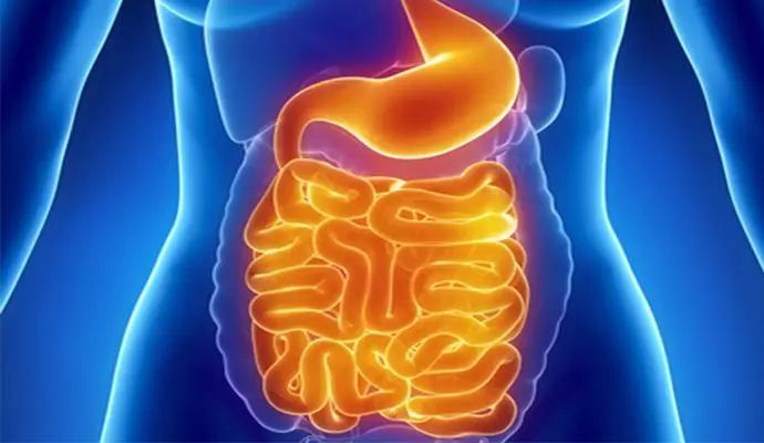 一个医生吃了枣核,一医生吞枣核