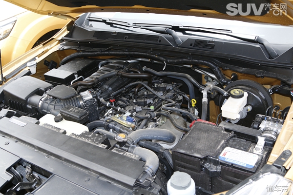 惊喜不断特价不断,惊喜不断喜讯连连