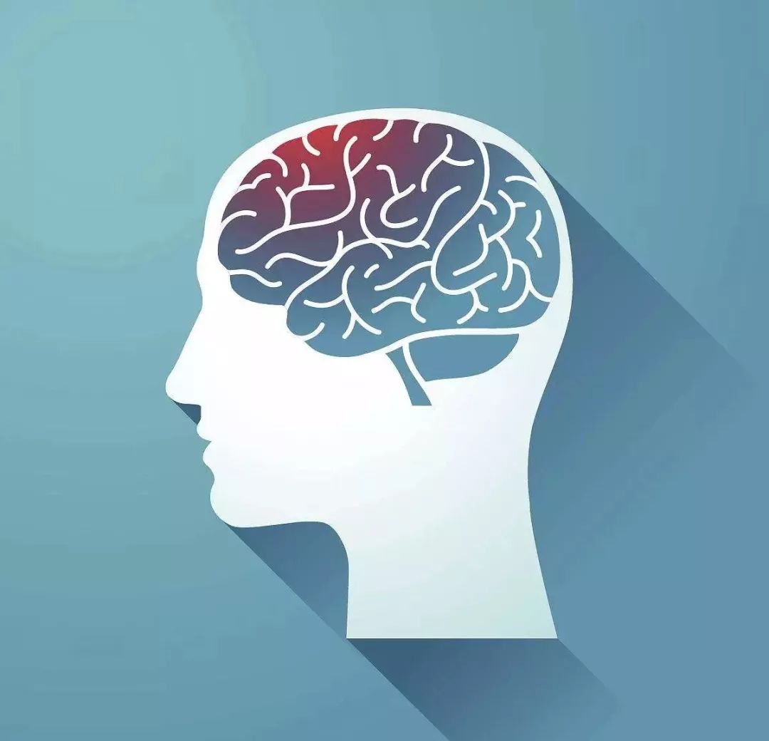 多吃鱼的人聪明吃什么补脑 (补脑食补还是吃鱼油来得快)