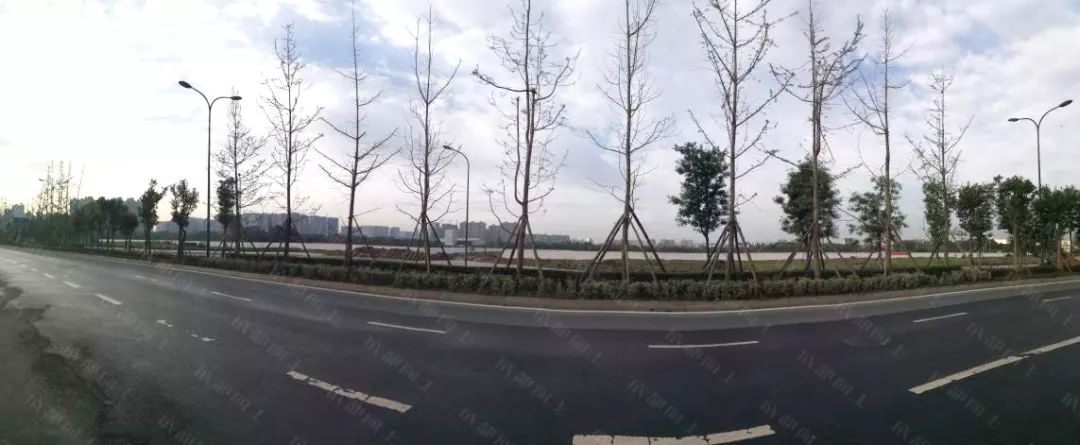 打通断头路小半年后，大源西现在怎么样了？