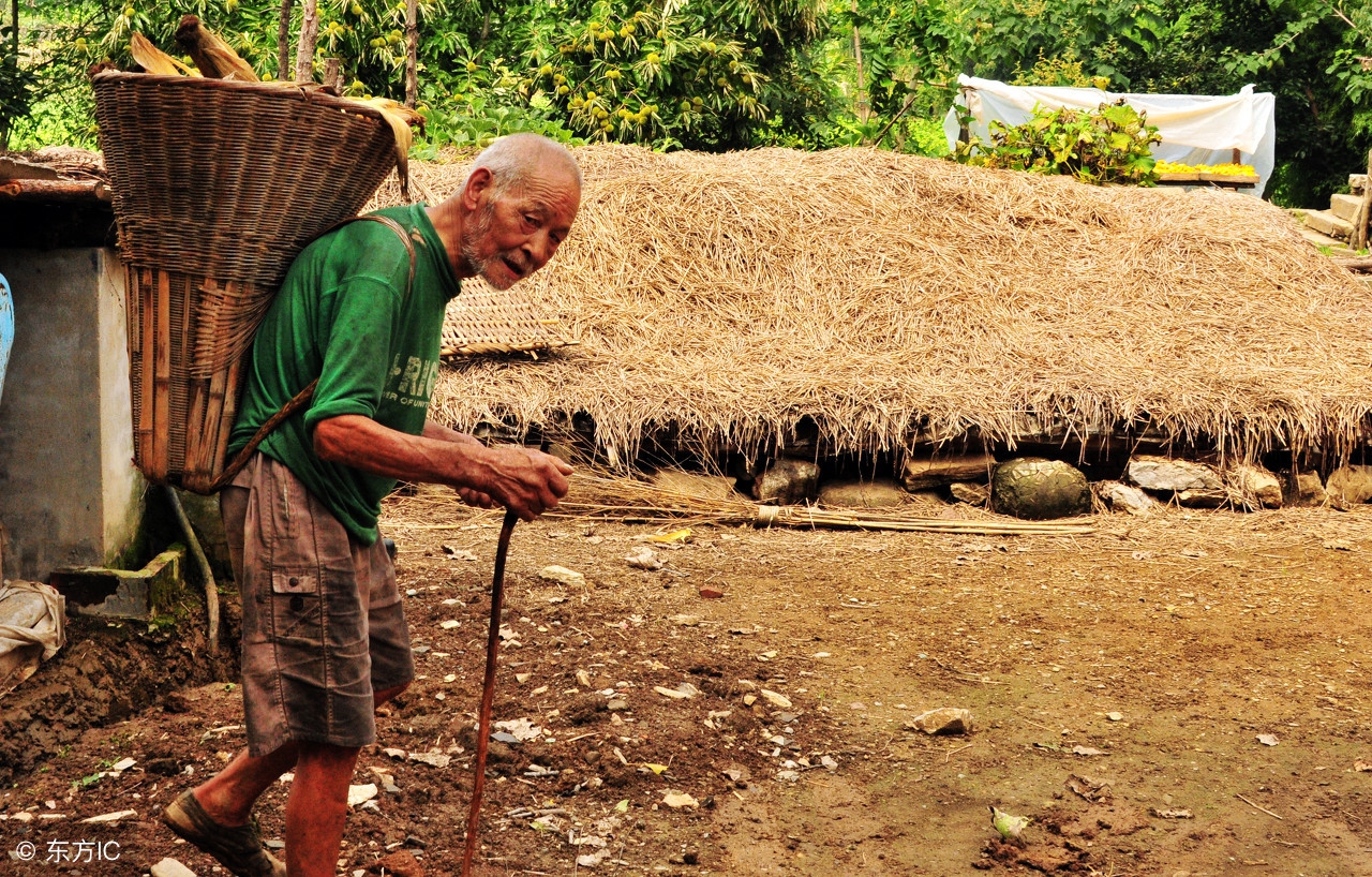 八字看富与贵,八字看富命等级