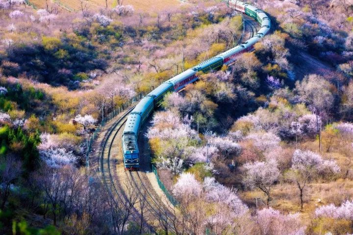 尼康d800搭配尼康24-120效果怎么样,尼康d800自身携带的拍摄风格