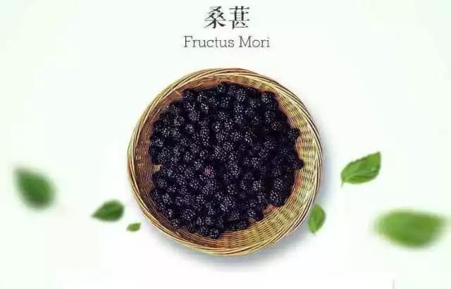 桑葚白果病怎么形成的,桑葚白果病用什么杀菌剂最好