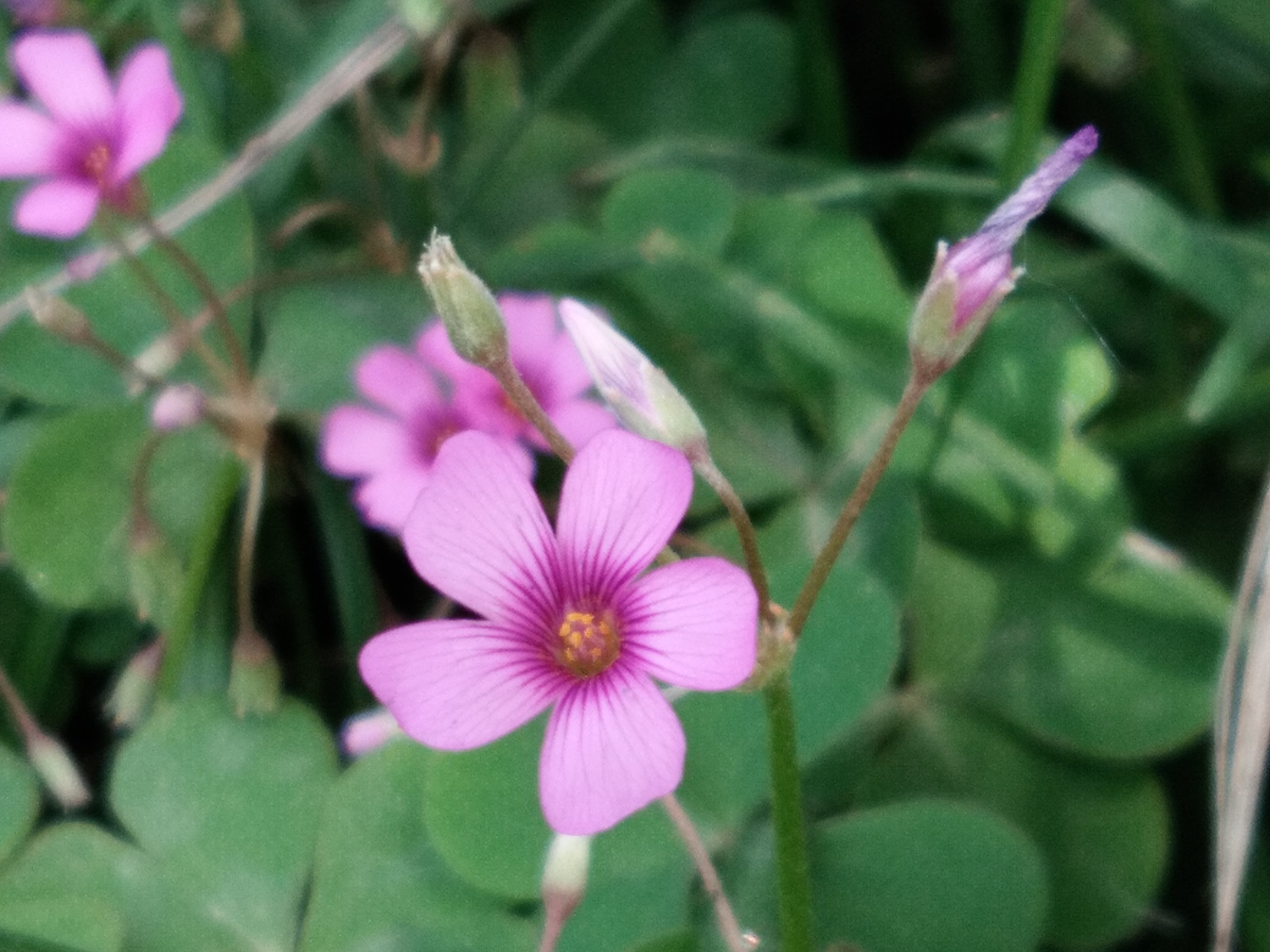 脚踏汉城湖公园全程!感受汉武辉煌!