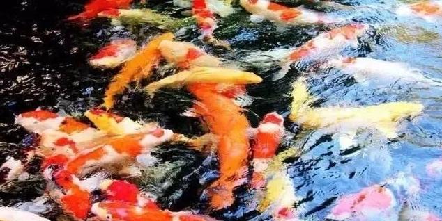 点点滴滴积累知识,点点滴滴积累经验