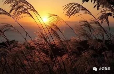 宛如玉的诗歌《老家》