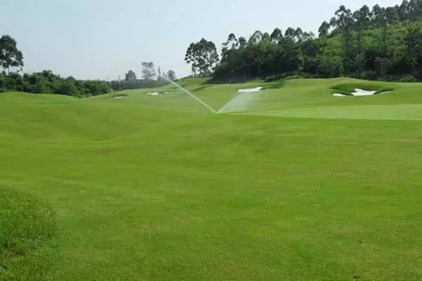 都叫芸苔素内酯，为什么差别那么大？应该正确认识！