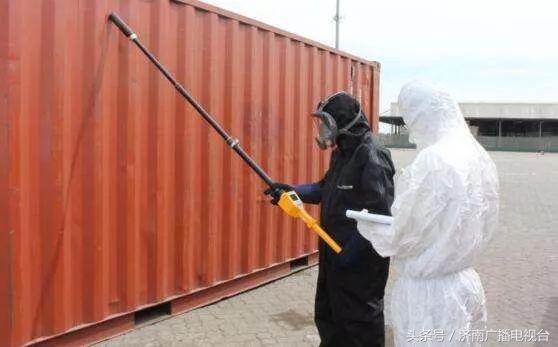 徐静蕾冻卵能生孩子吗,林志玲徐静蕾