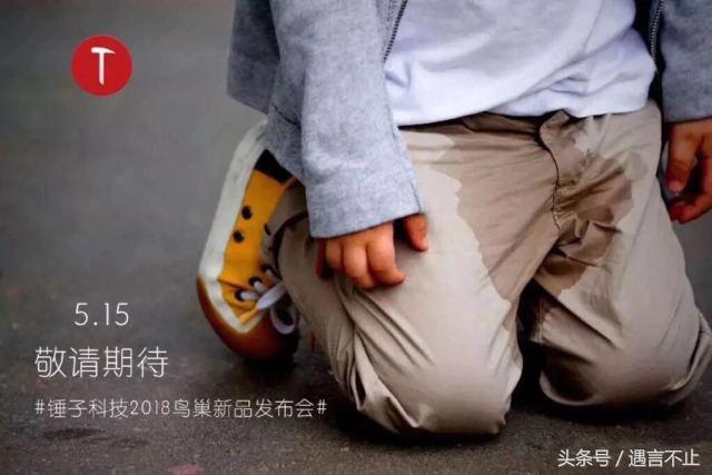 老罗发布会精华故事,老罗鸟巢的产品