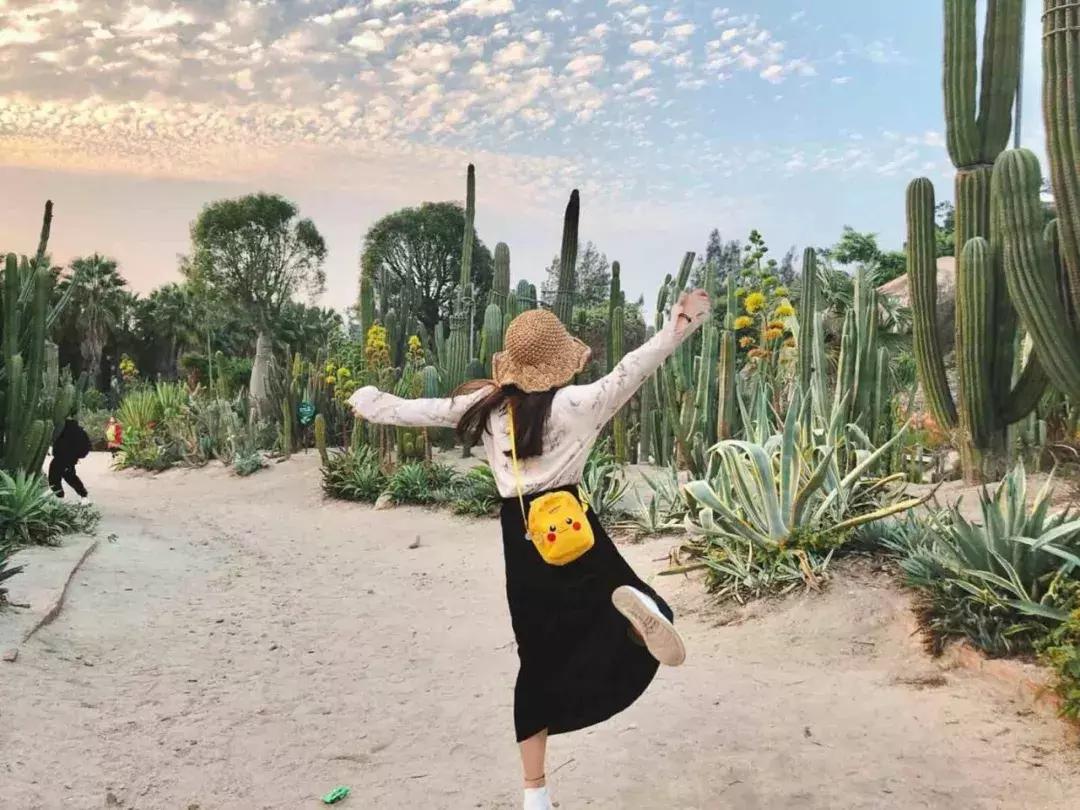 厦门旅游攻略3天2晚自由行本地游,厦门旅游攻略3天2晚自由行亲子