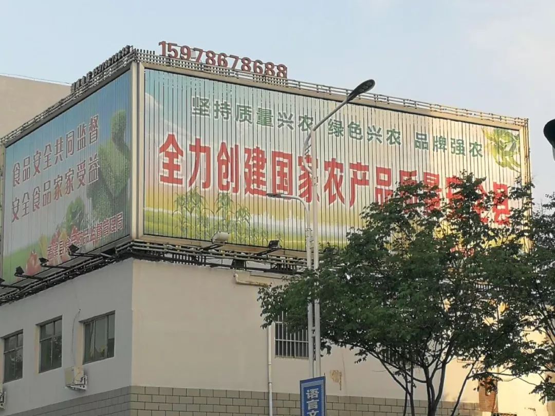 孟津袖珍西瓜多少钱,孟津袖珍西瓜新品种