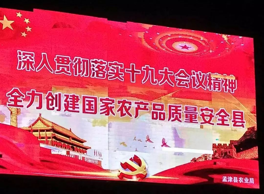 孟津袖珍西瓜多少钱,孟津袖珍西瓜新品种