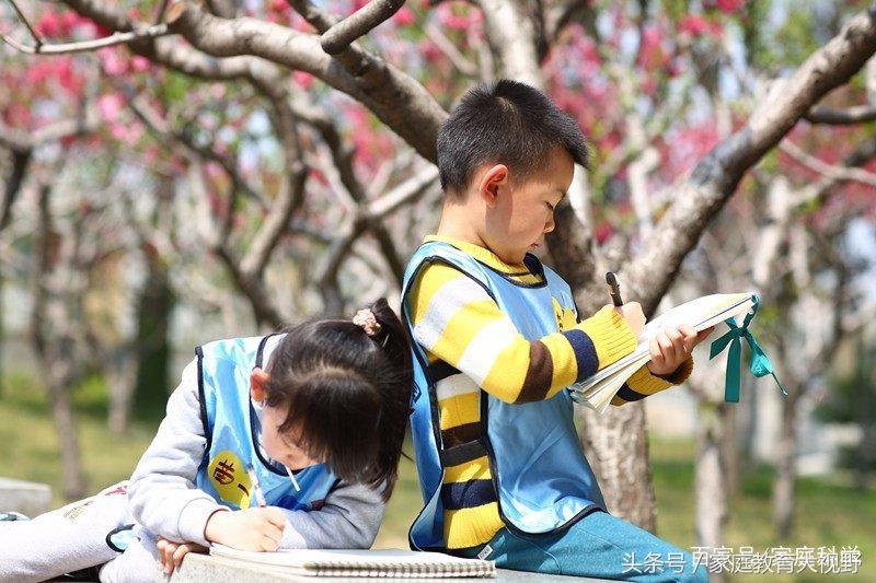 孩子老是会写很多错别字怎么纠正,孩子经常写错别字要练习什么