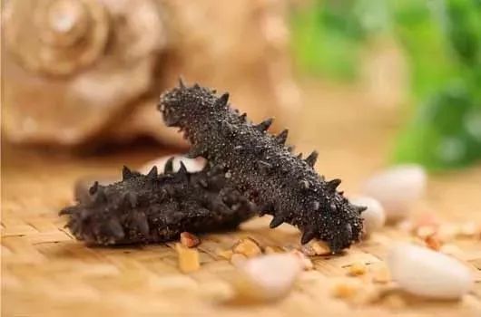 海参价格便宜的猫腻,海参市场的真实现状