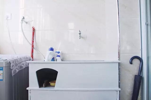 情侣租房装修改造,单身女性租房改造省钱又好看