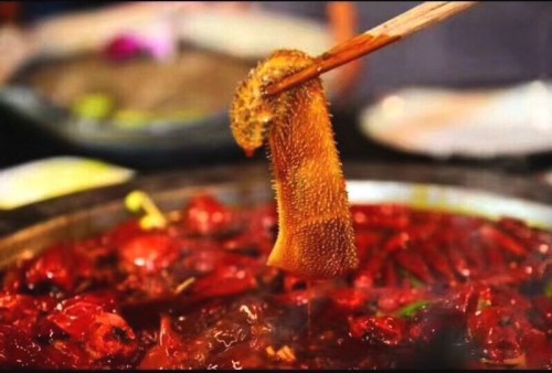 中华老字号毛肚,25年匠心