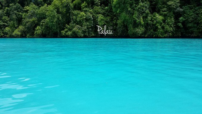 帕劳浮潜一次大概多少钱,帕劳浮潜穿泳衣还是泳裤