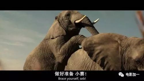 人能钻进大象体内？超贱超污超搞笑，不能让我一个人瞎