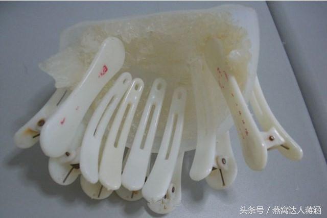 如何分辨真燕窝和假燕窝,燕窝造假小视频