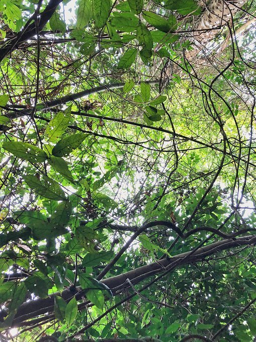 2024泰国泼水节攻略,2022年的泰国芭提雅泼水节