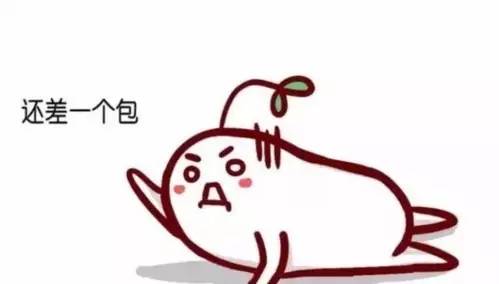 还在拎麻袋？NO！还不来一款in气十足的包包！