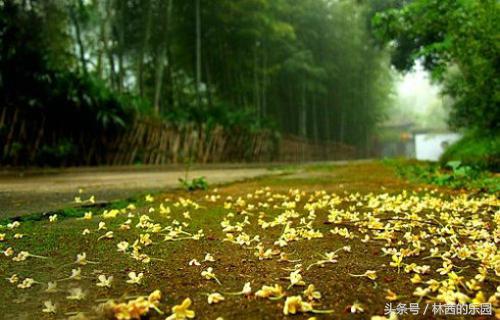 王维的16首诗歌,千古绝唱,醉美画中诗,每首诗都像一幅天然图画