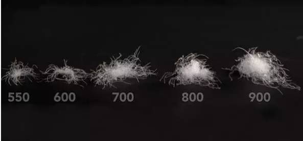 羽绒羽毛的特点,羽绒是怎样制成的