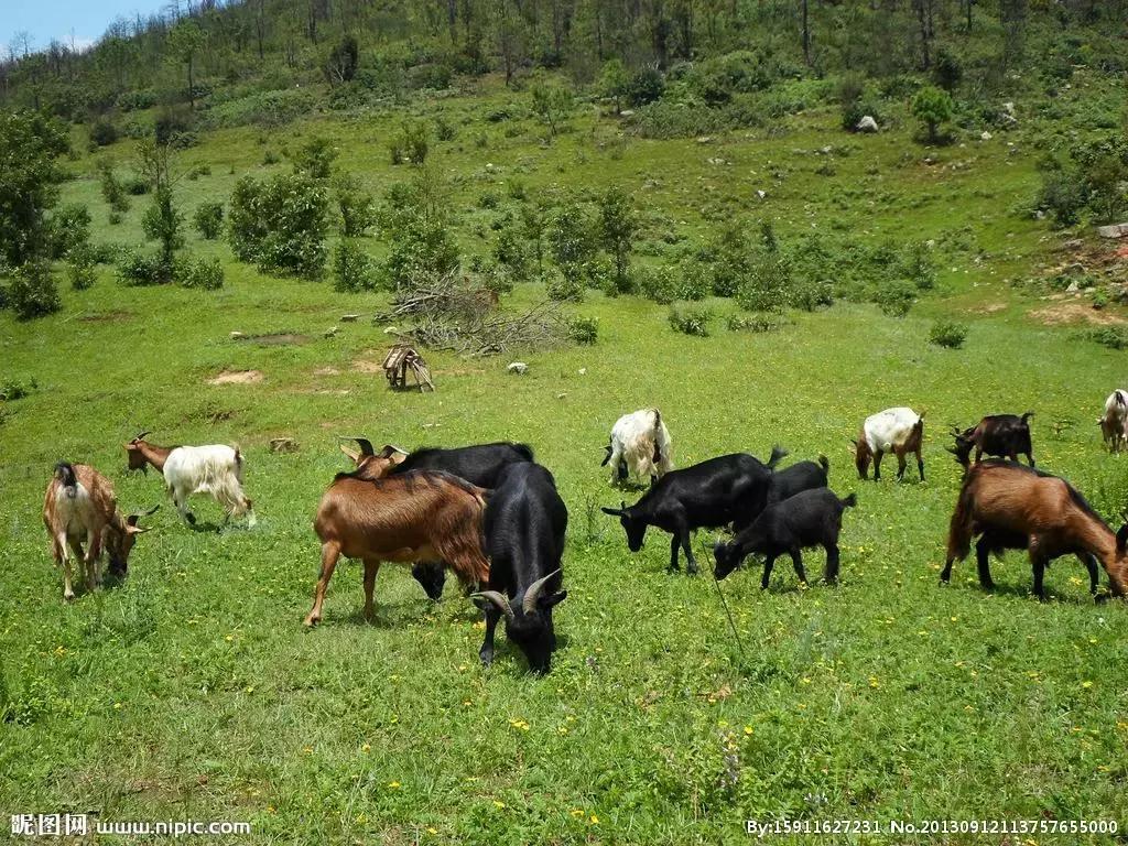 对抗慢性炎症,消除身体慢性炎症的十个方法