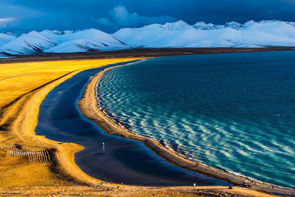 大个头大智慧,大脑门子大智慧