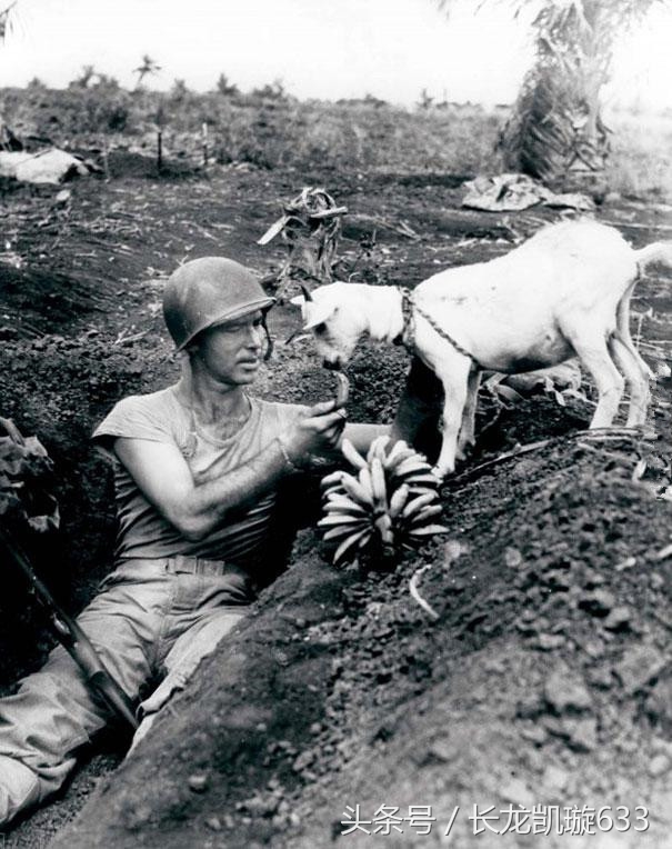 30张令人印象深刻的历史老照片,历史照片回顾模板