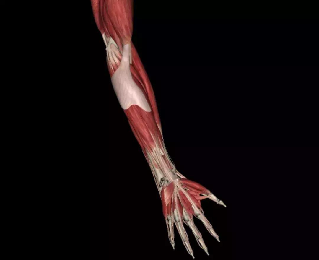 浜屽ご寮妇灏忚噦閰哥棝,浜屽ご寮妇閰哥棝鏄粌鍒颁綅浜嗗悧