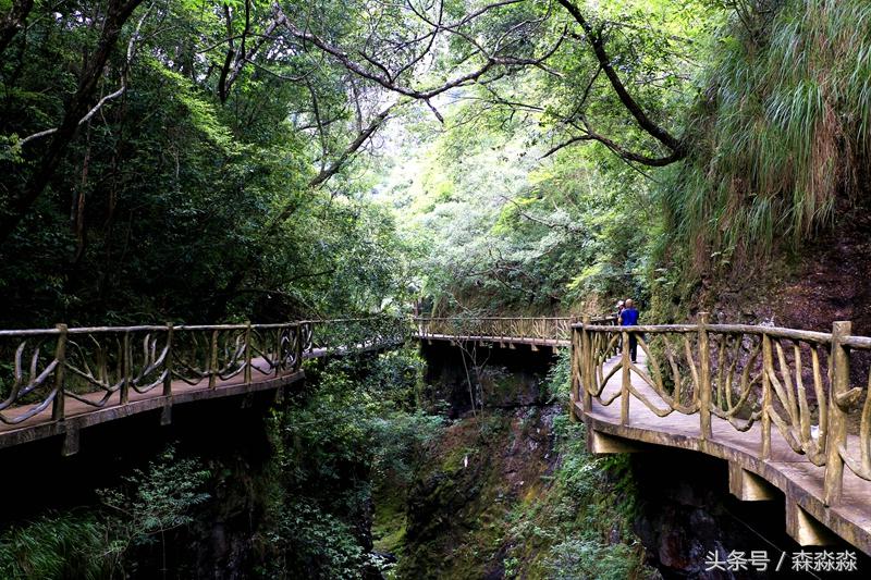 云顶大峡谷攻略,云顶大峡谷景区
