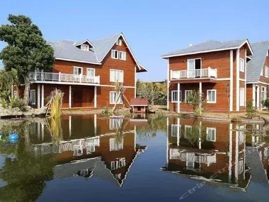 海南共享农庄批几个村庄,海南2019年首批共享农庄