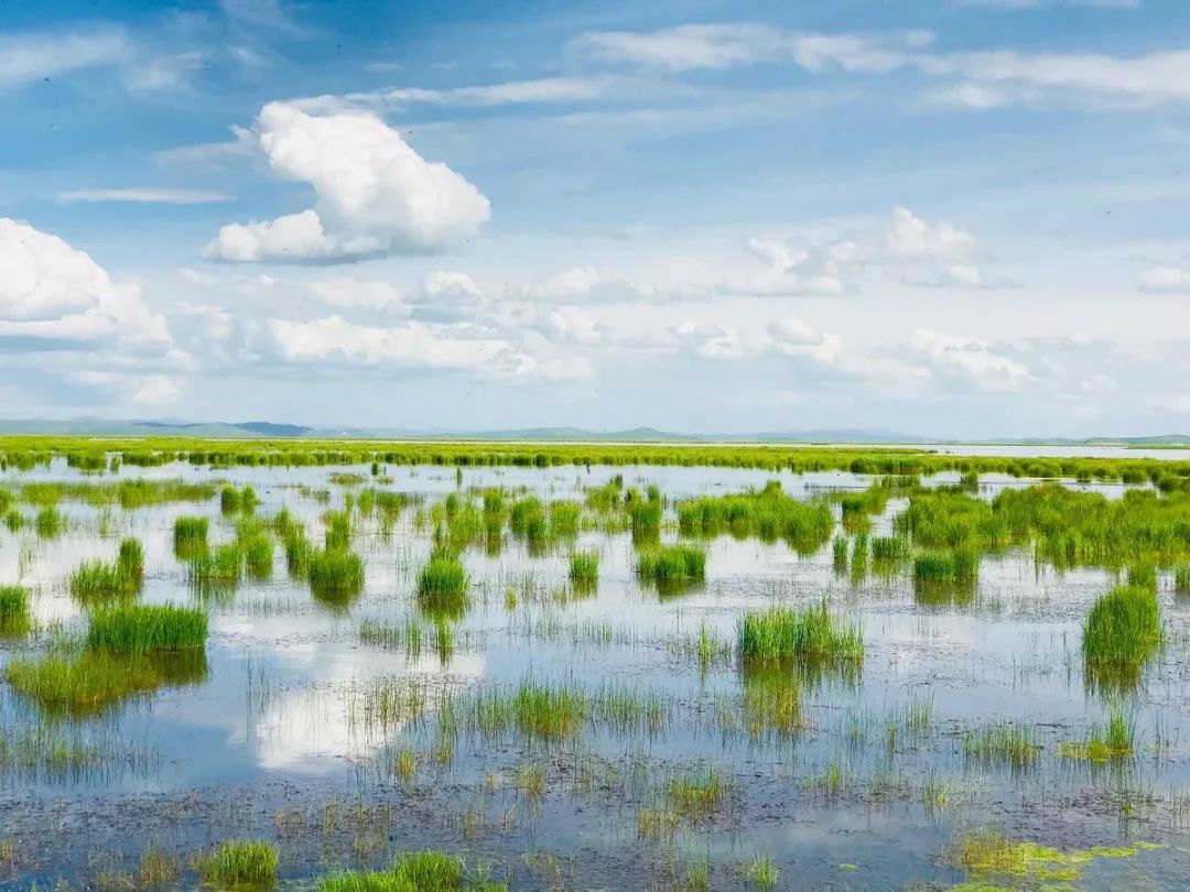 连绵的群山、广袤的草原、蜿蜒的河流……它就是独一无二的若尔盖