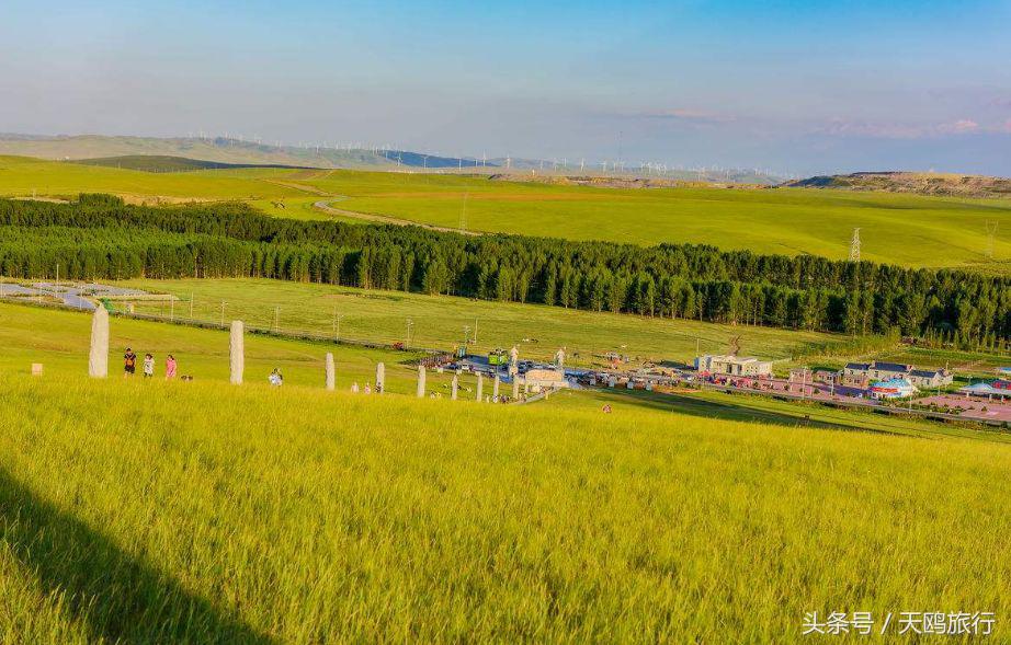 野狼谷乌拉盖狼王,乌拉盖野狼谷还有狼王吗