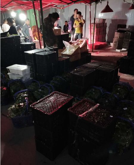 新雪域果蔬城水果旺销，刷新记录，遵义“菜篮子”即将重磅面市！