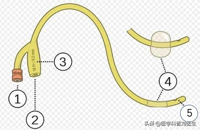 如何关注男性健康,关注男性健康养生
