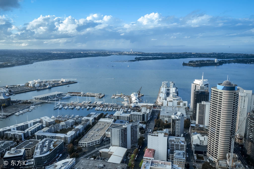 新西兰大学奥克兰大学,新西兰国宝