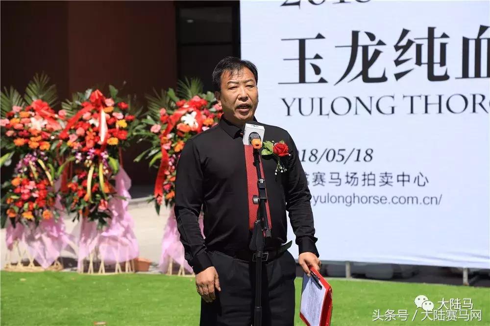 均价超30万，总成交价1300万！半数新马主成玉龙纯血马拍卖会主力