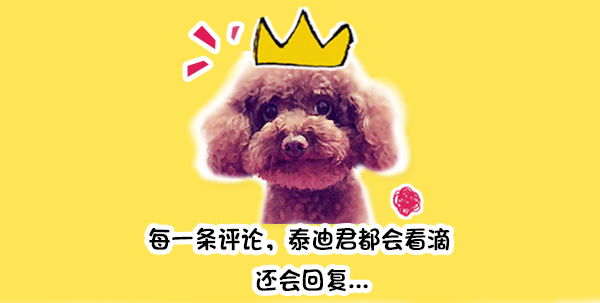 猫咪鼻子一直干燥正常吗,猫咪鼻子总干