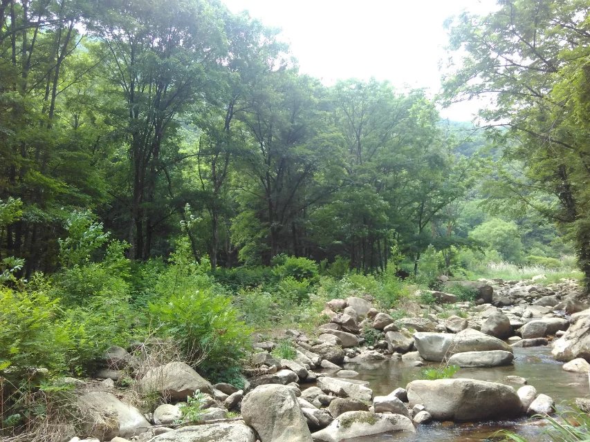 抚顺猴石公园旅游攻略有哪些,抚顺新宾猴石森林公园天气预报