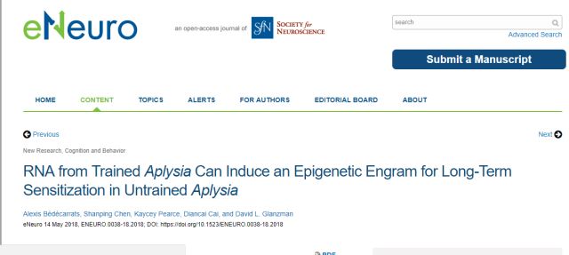 老年痴呆摔了一跤恢复记忆,老年痴呆患者的记忆训练