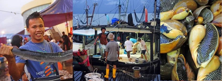 婆罗洲最神奇的探秘之旅,婆罗洲雨林探险