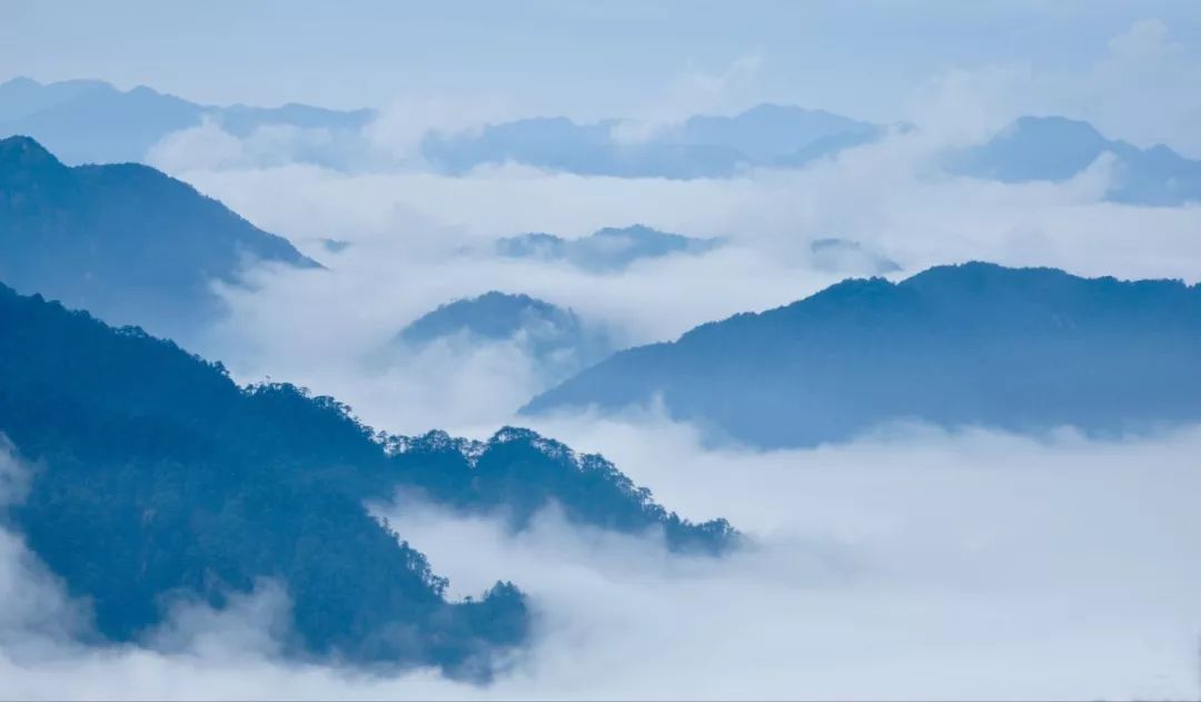 黄正华的诗词,黄正华经典诗词